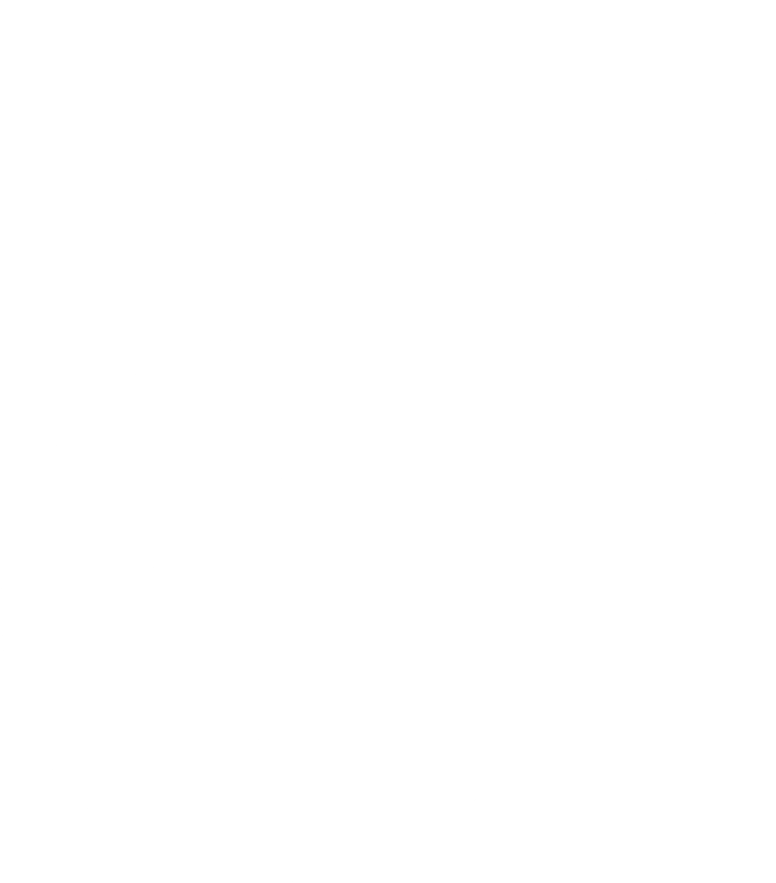 TikTok icon